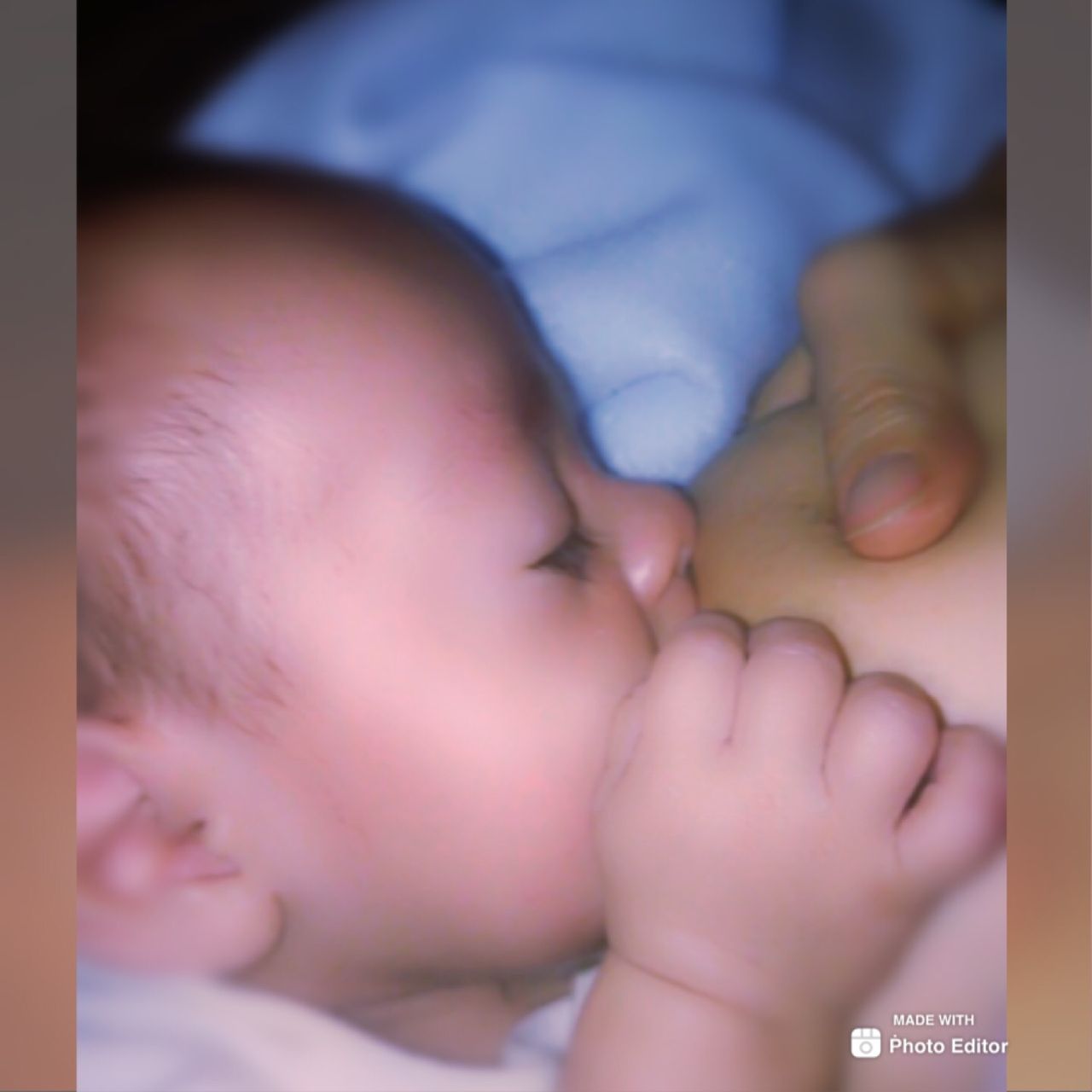 Maria Del Rocio Avila Silva-3