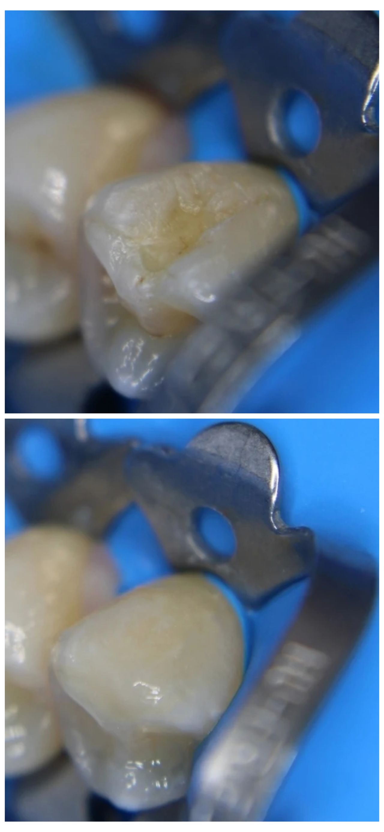 Arturo Oliva Callejas-5