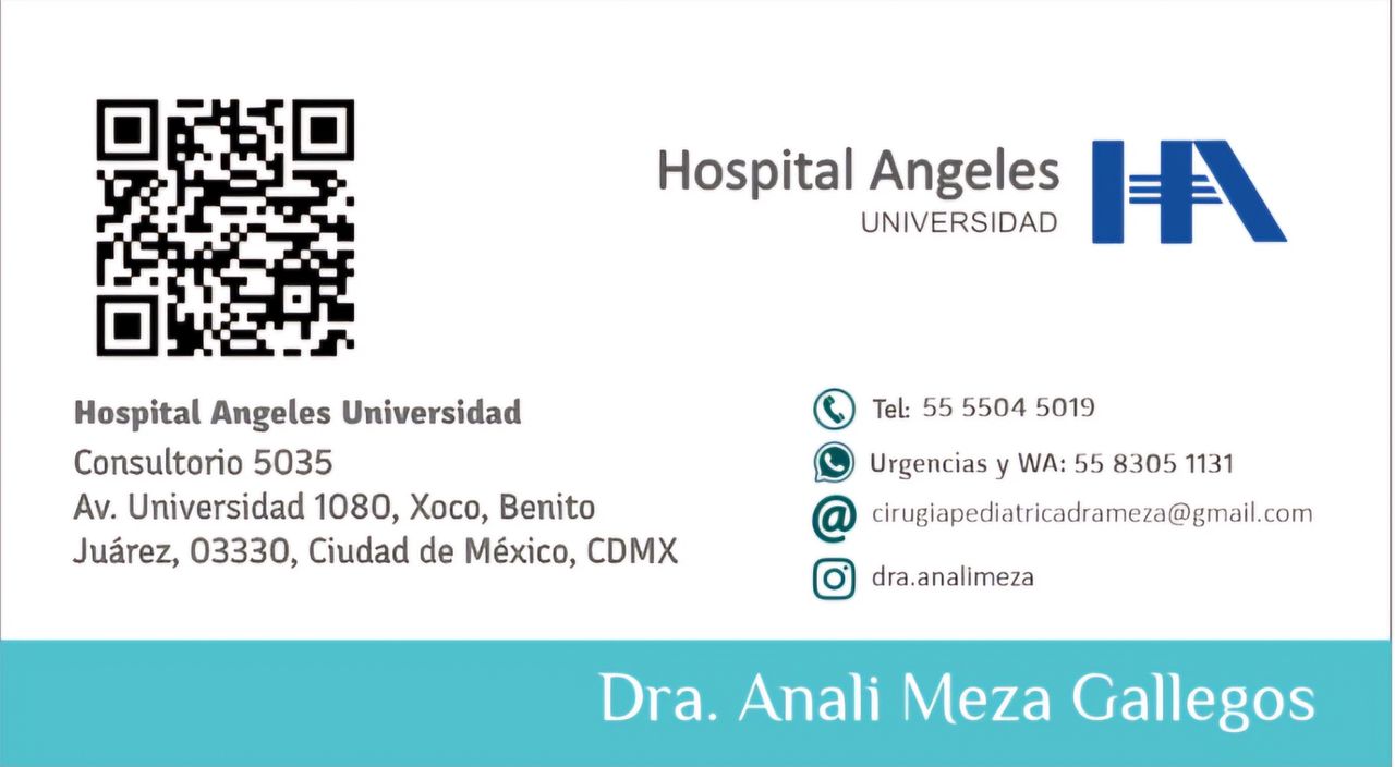 Anali Meza Gallegos-1