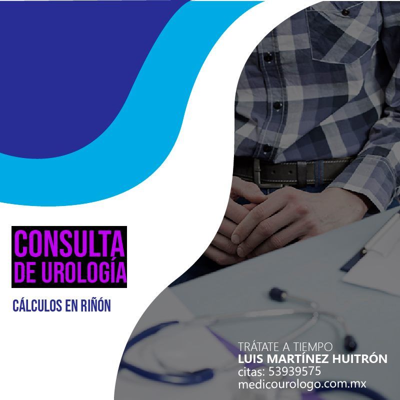 Luis Martinez Huitron-11