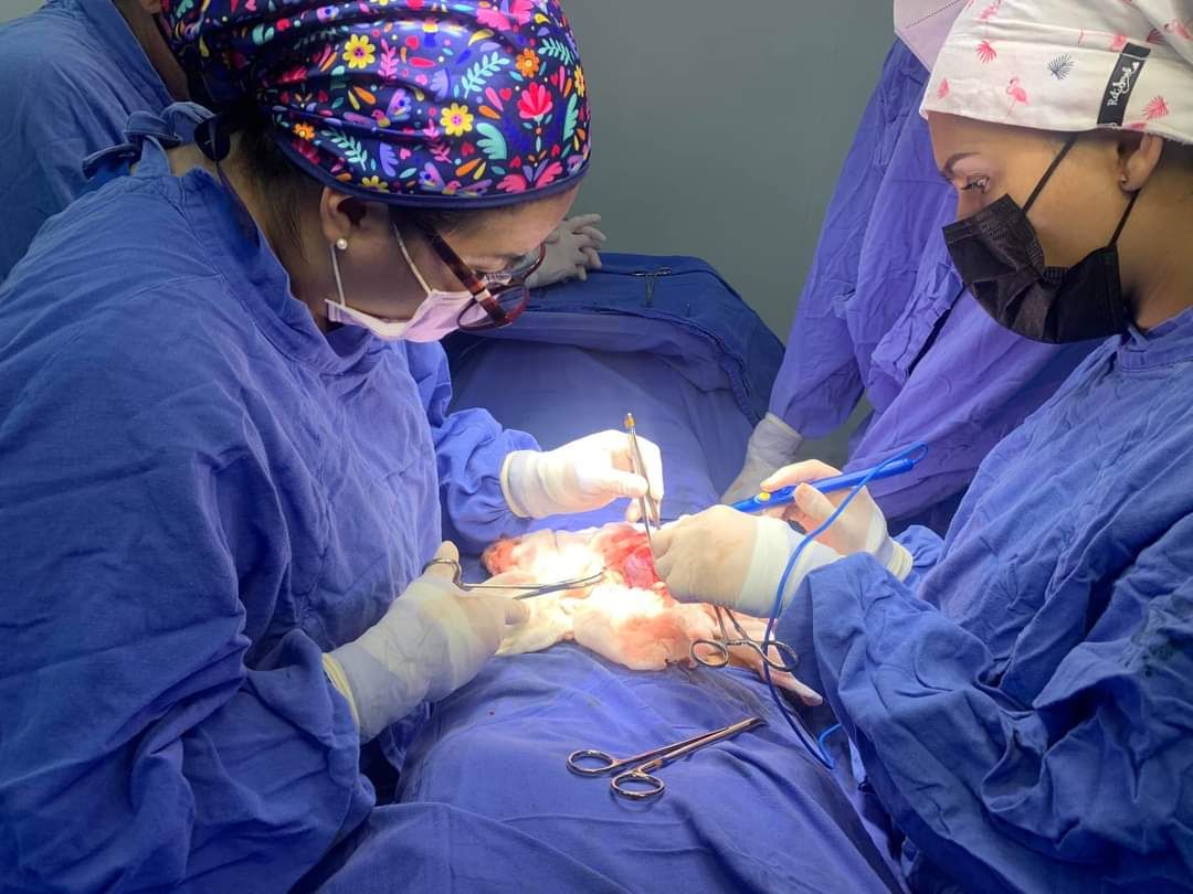 Stephanie González Rosas-0