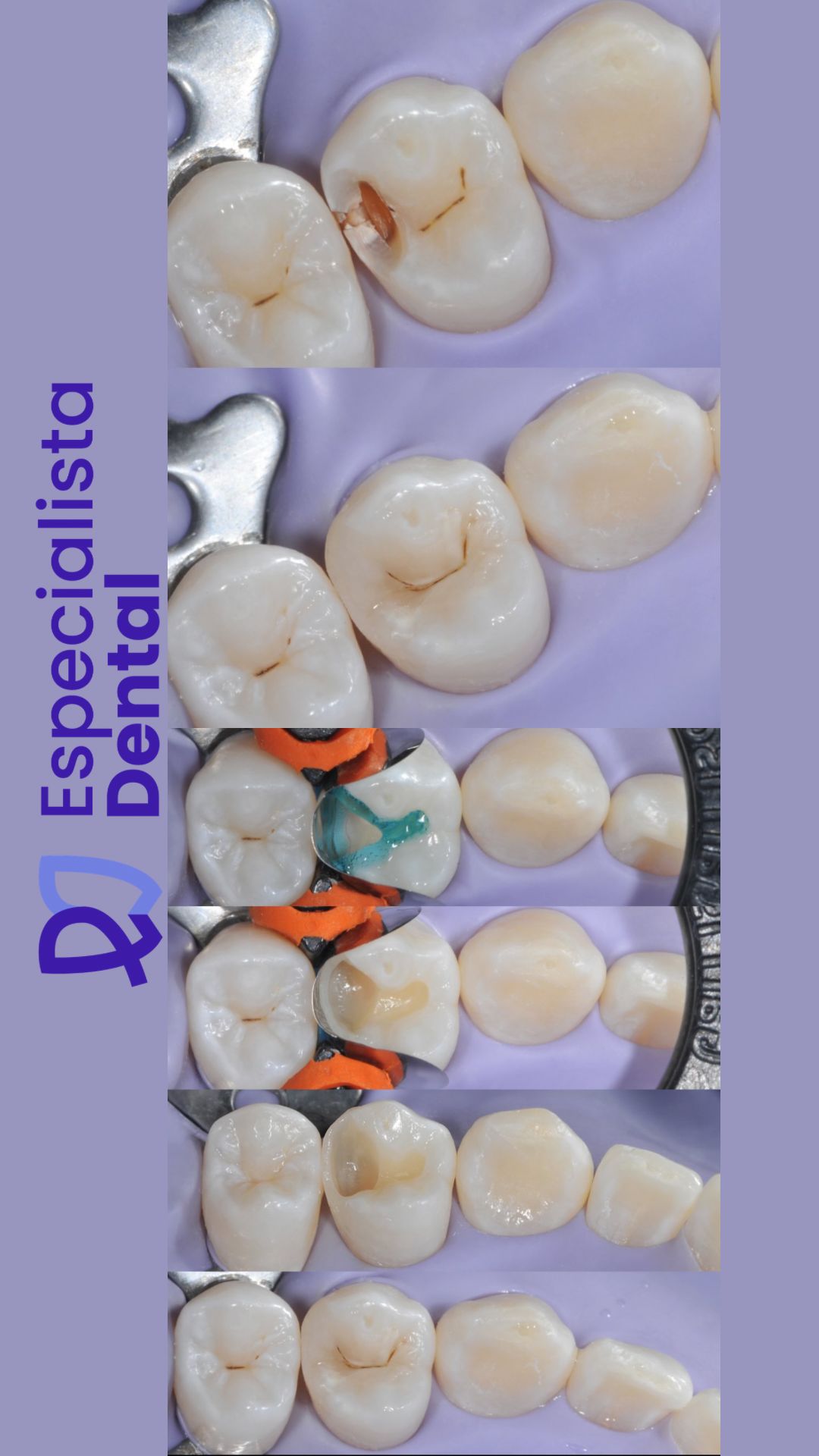 Stephanie S. Ramirez Salcedo-22