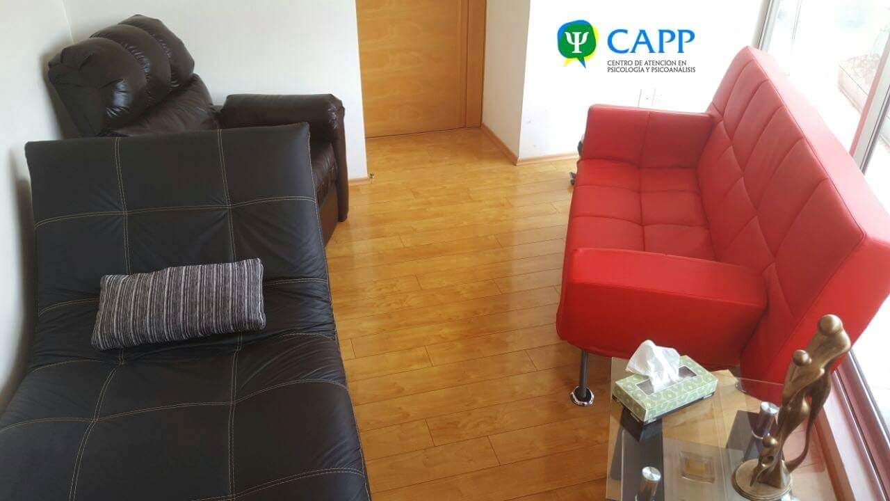 Carlos Max Zavala Hernández-4