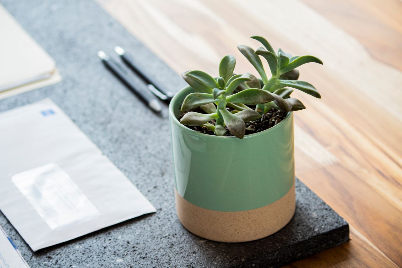 Javier Maciel Chávez-54