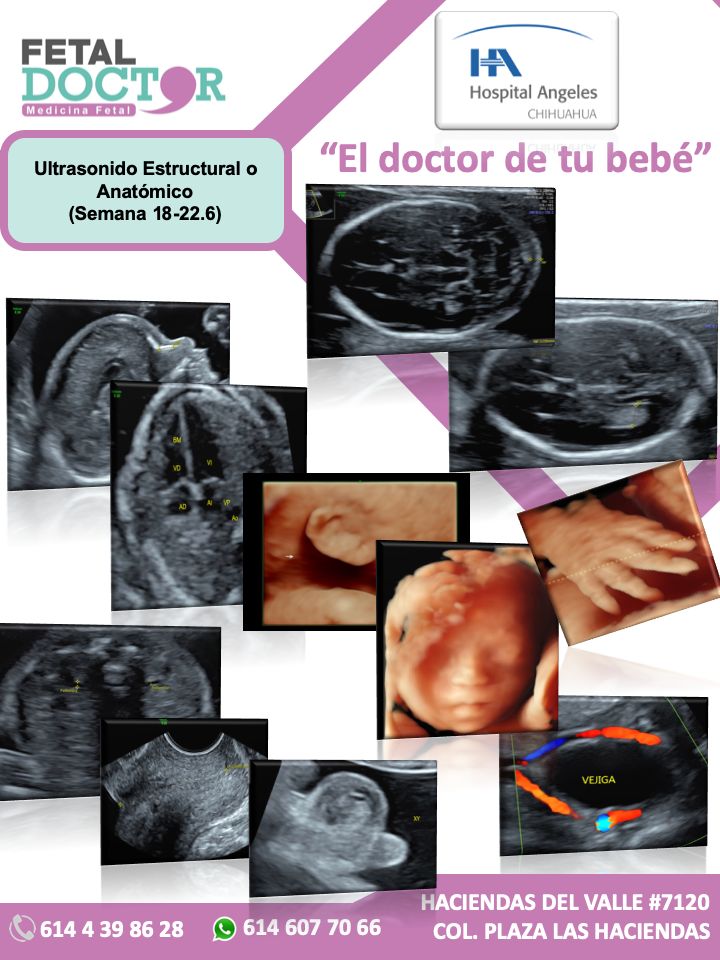 Jesús Manuel Ortega Flores-10