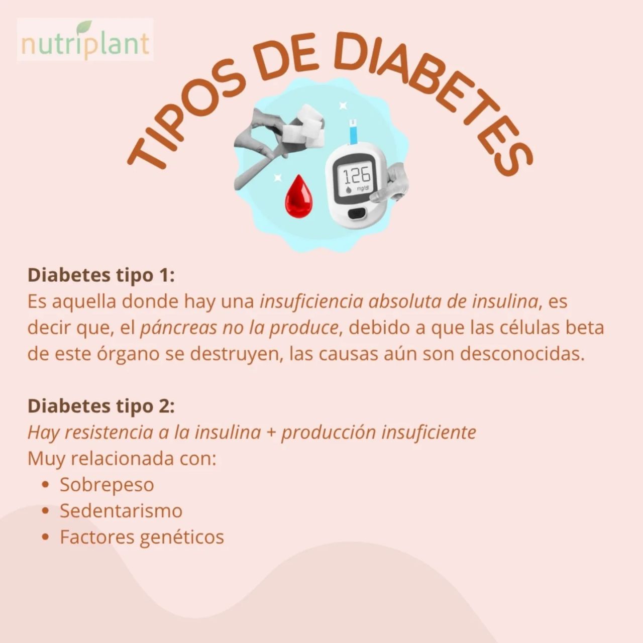 Carolina Dávila Velázquez-6