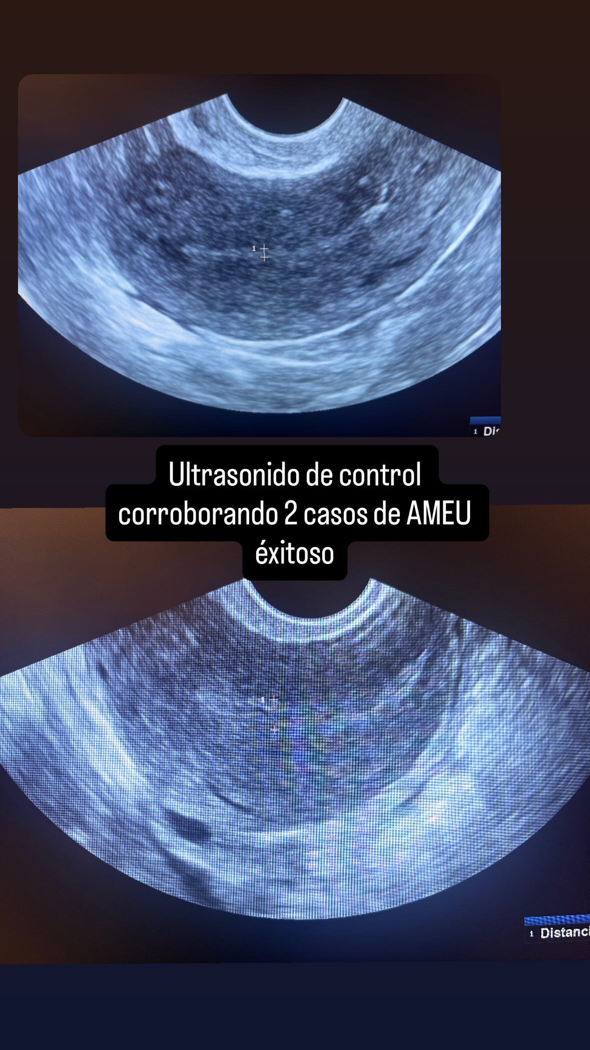 Ricardo Martinez Alaniz-9