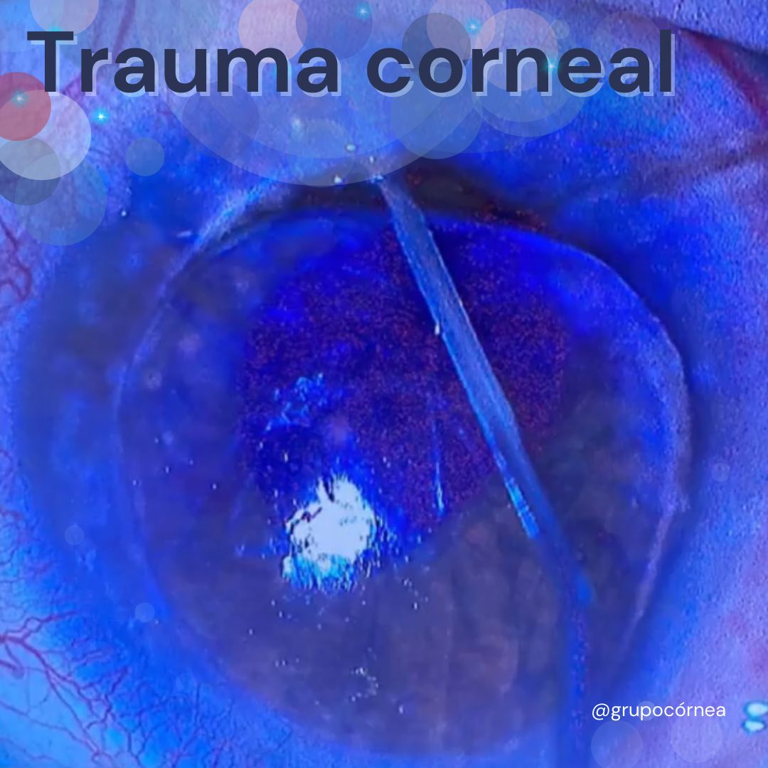 Kristian Alfonso Vazquez Romo-7