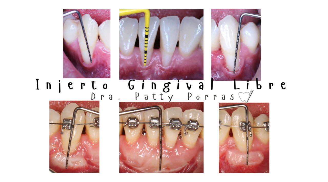 Patricia Porras Domínguez-14