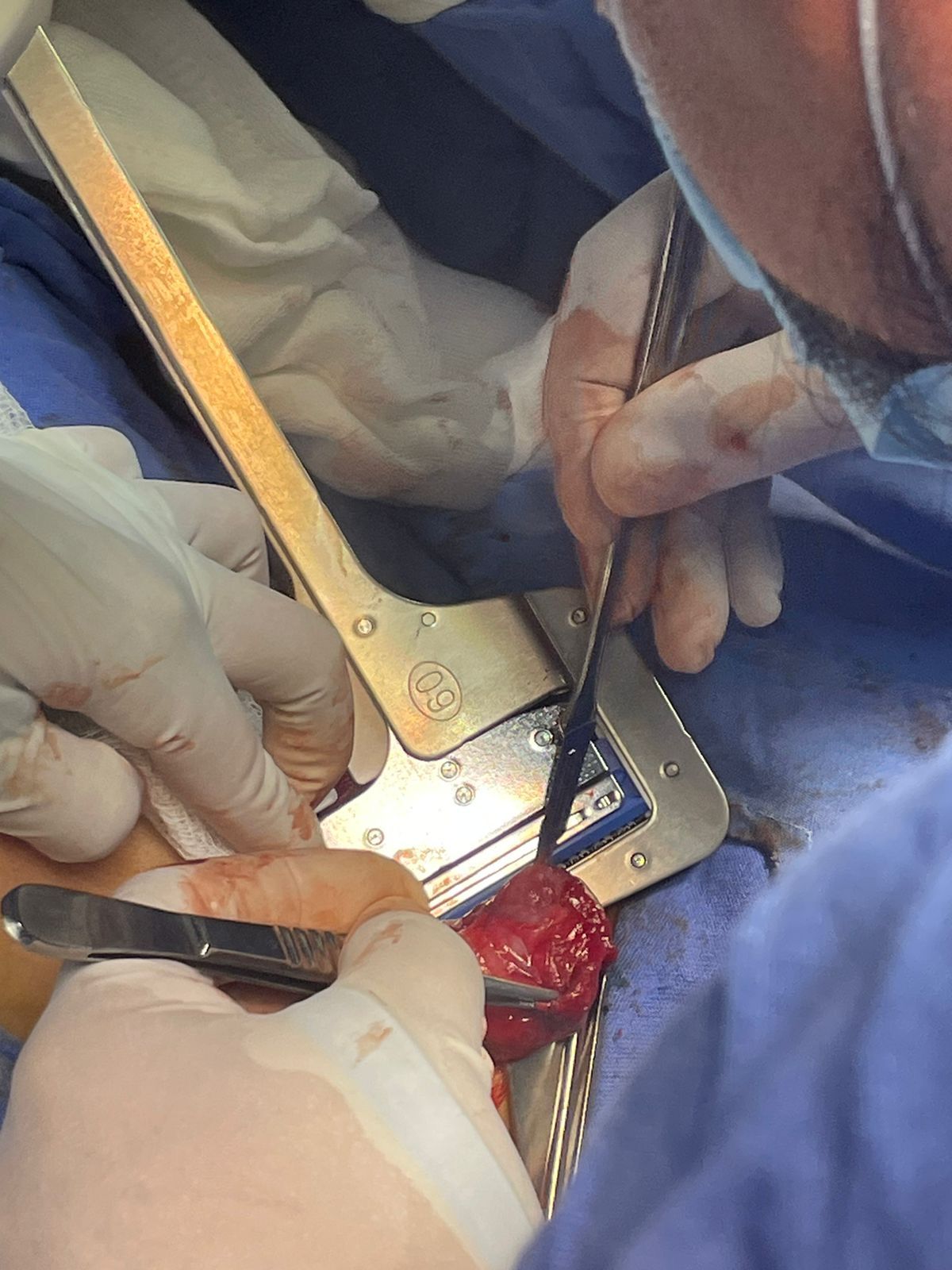 Mateo Ponciano Guerrero-1