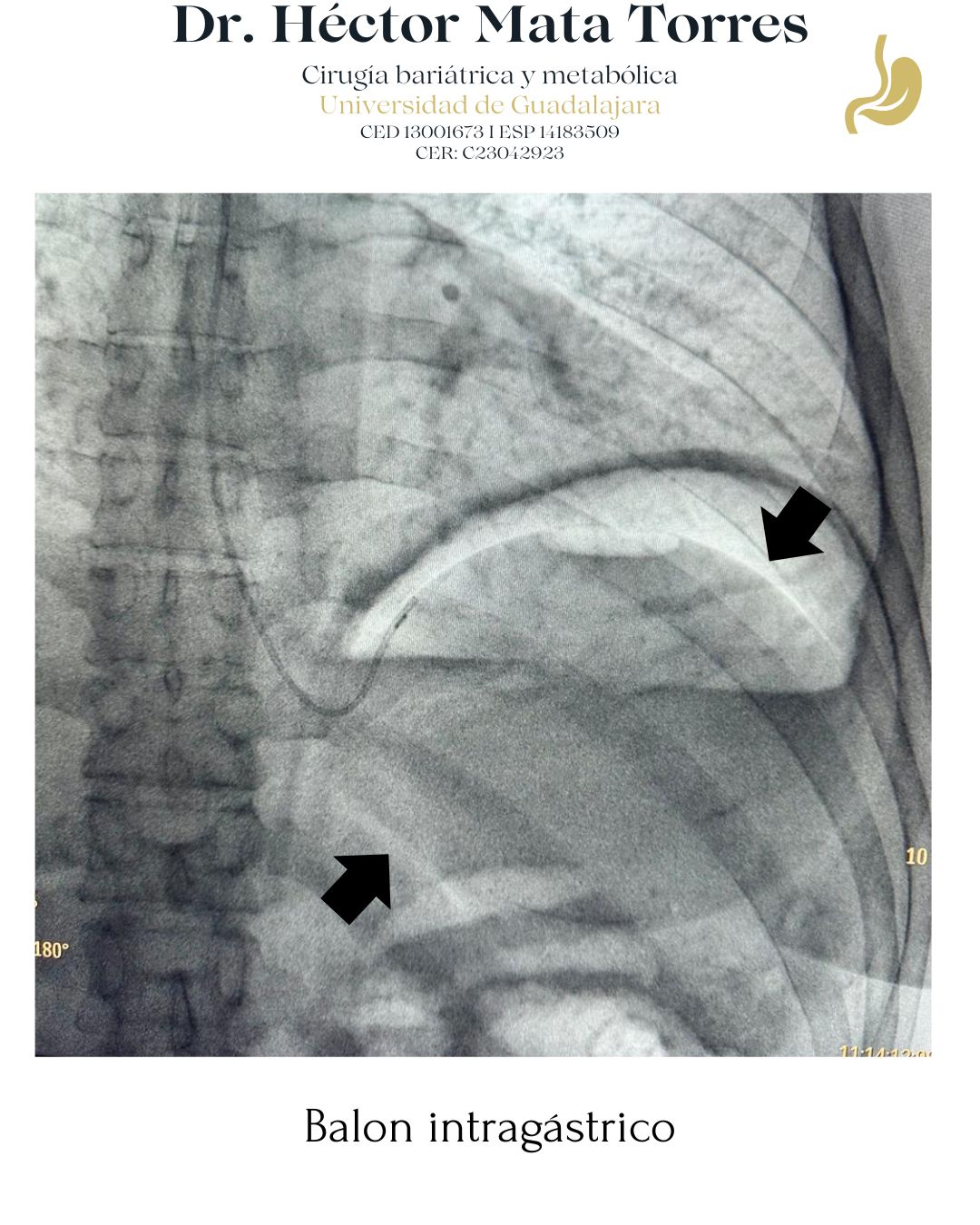 Héctor Mata Torres-10