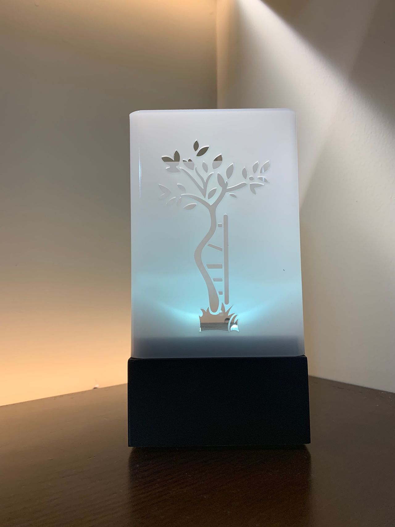 Gonzalo Esparza Ramos-7