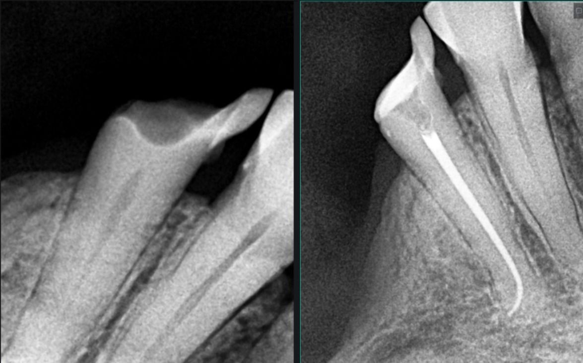 Roberto Diez Rodríguez-0