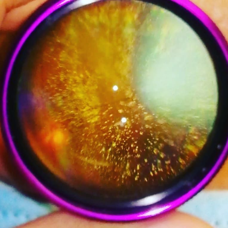 Dalia Méndez Marín-5