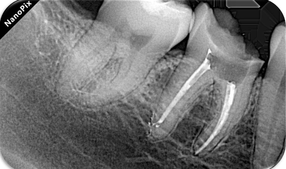 Carlos Daniel Carrillo-6