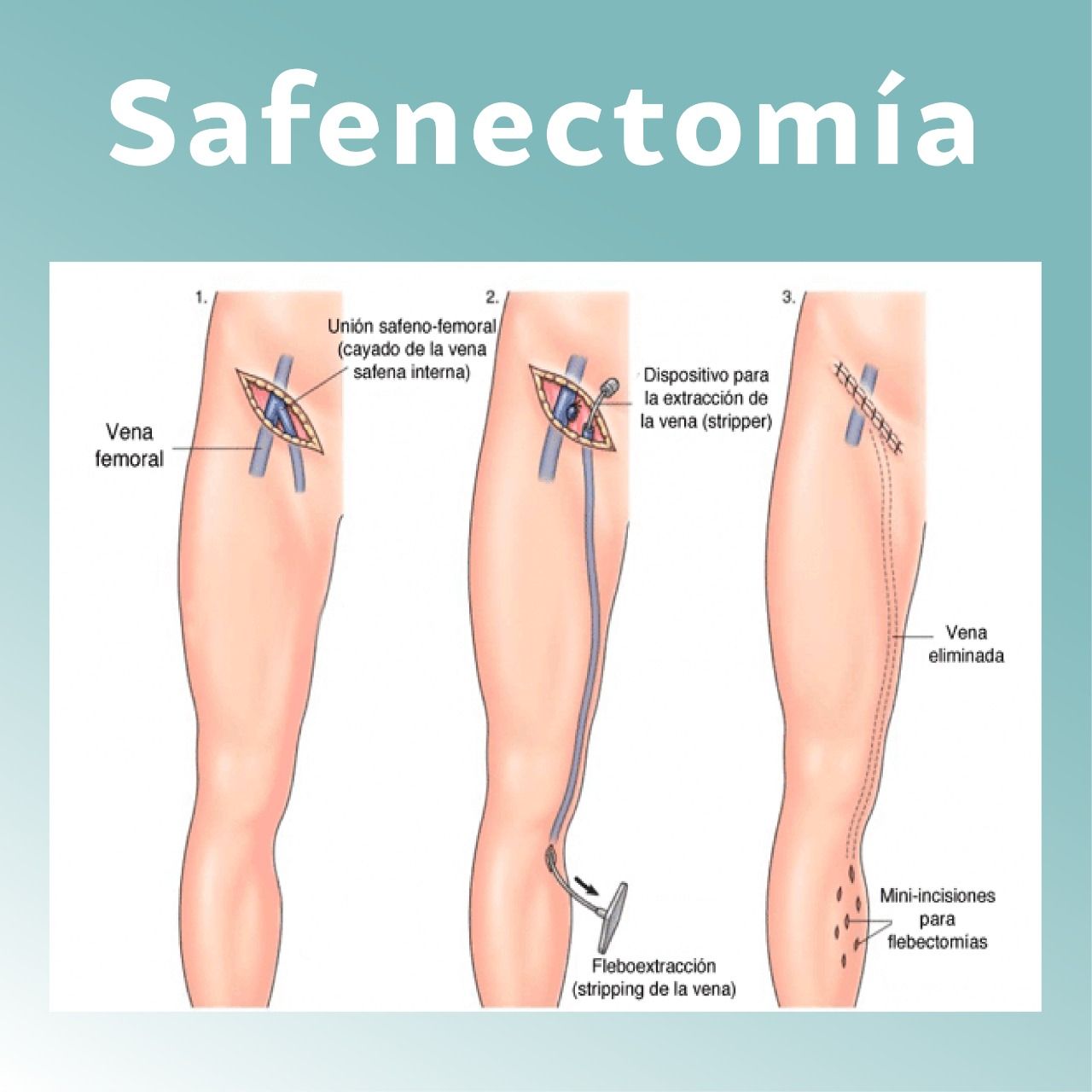 Daniela Oropeza Adame-21