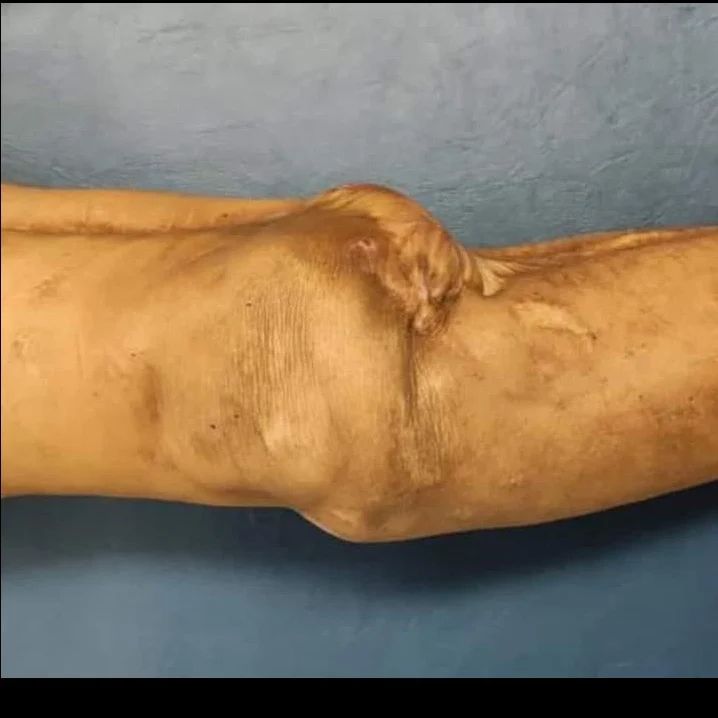 Julio Cesar Cruz Gutierrez-2