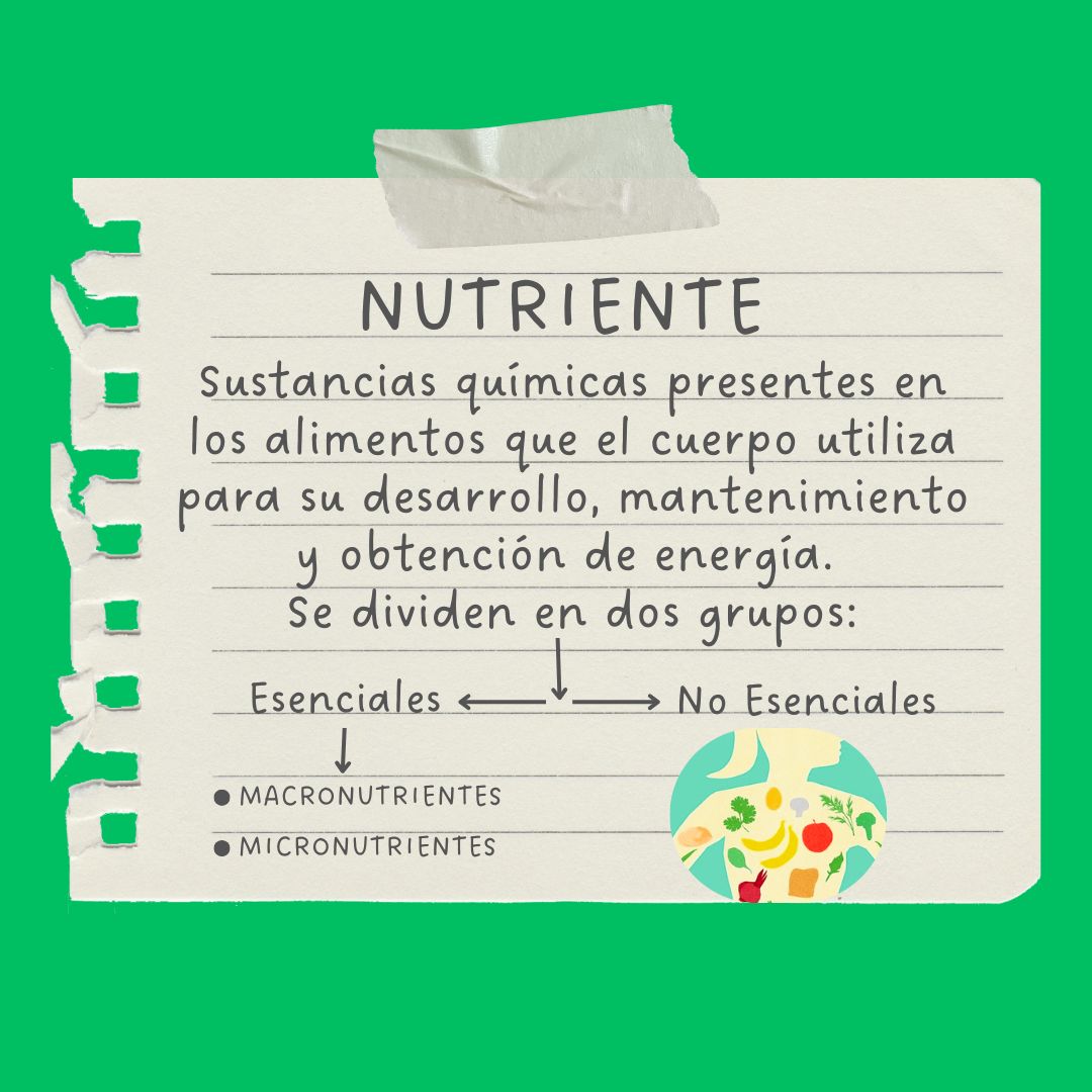 Manuel Josimar Hernández Castillo-5