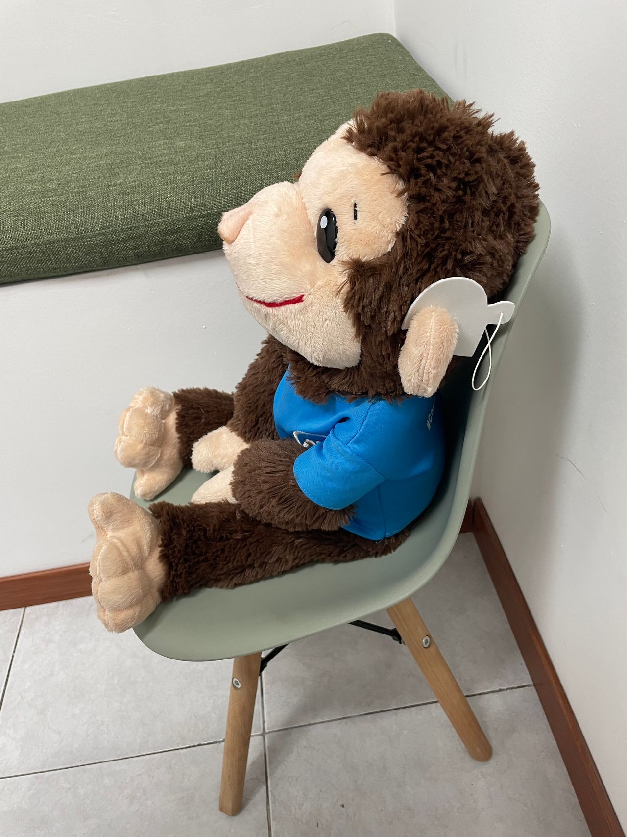 María José Ortiz Sainz De Rozas-0