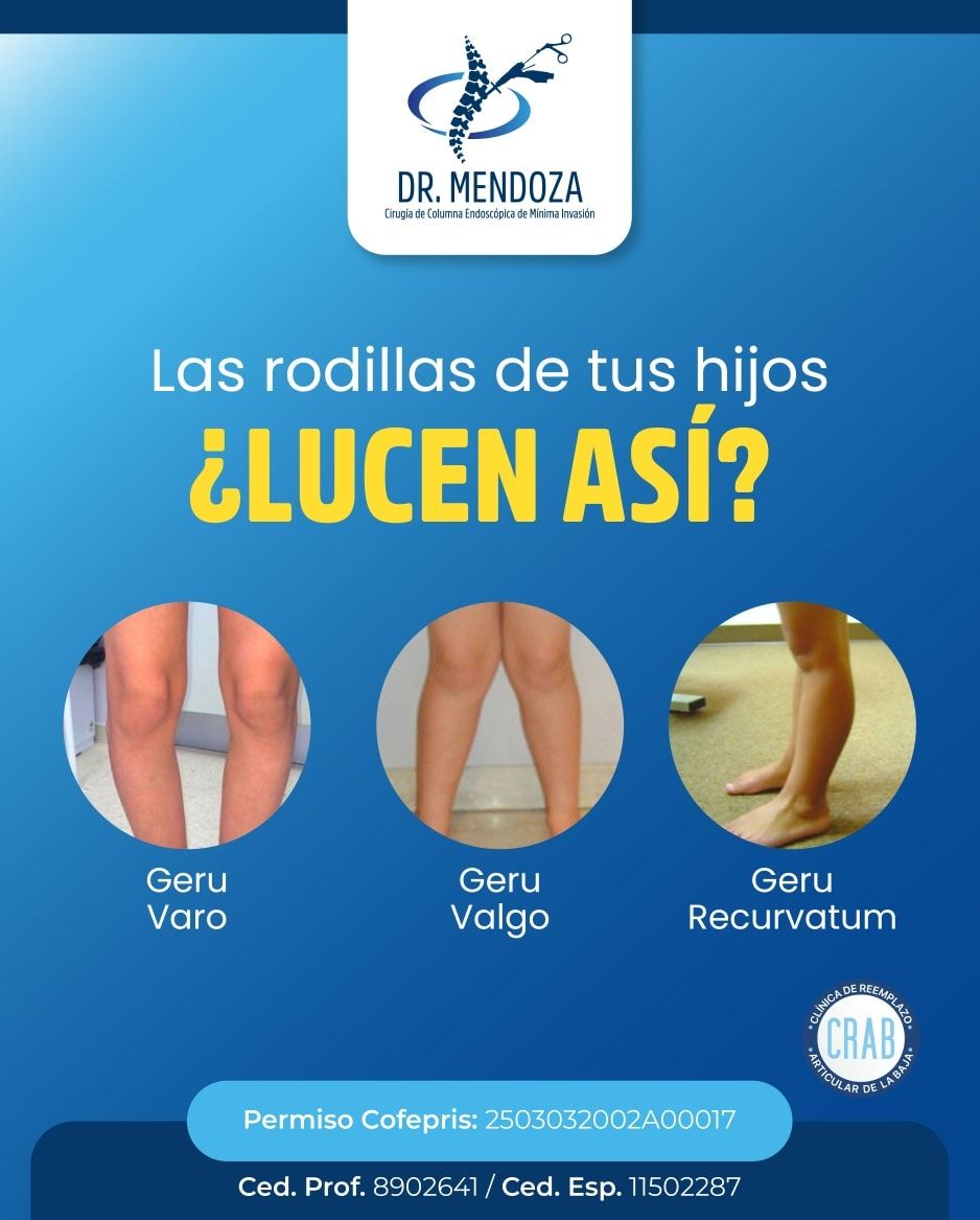 Francisco Javier Mendoza Mendoza-1