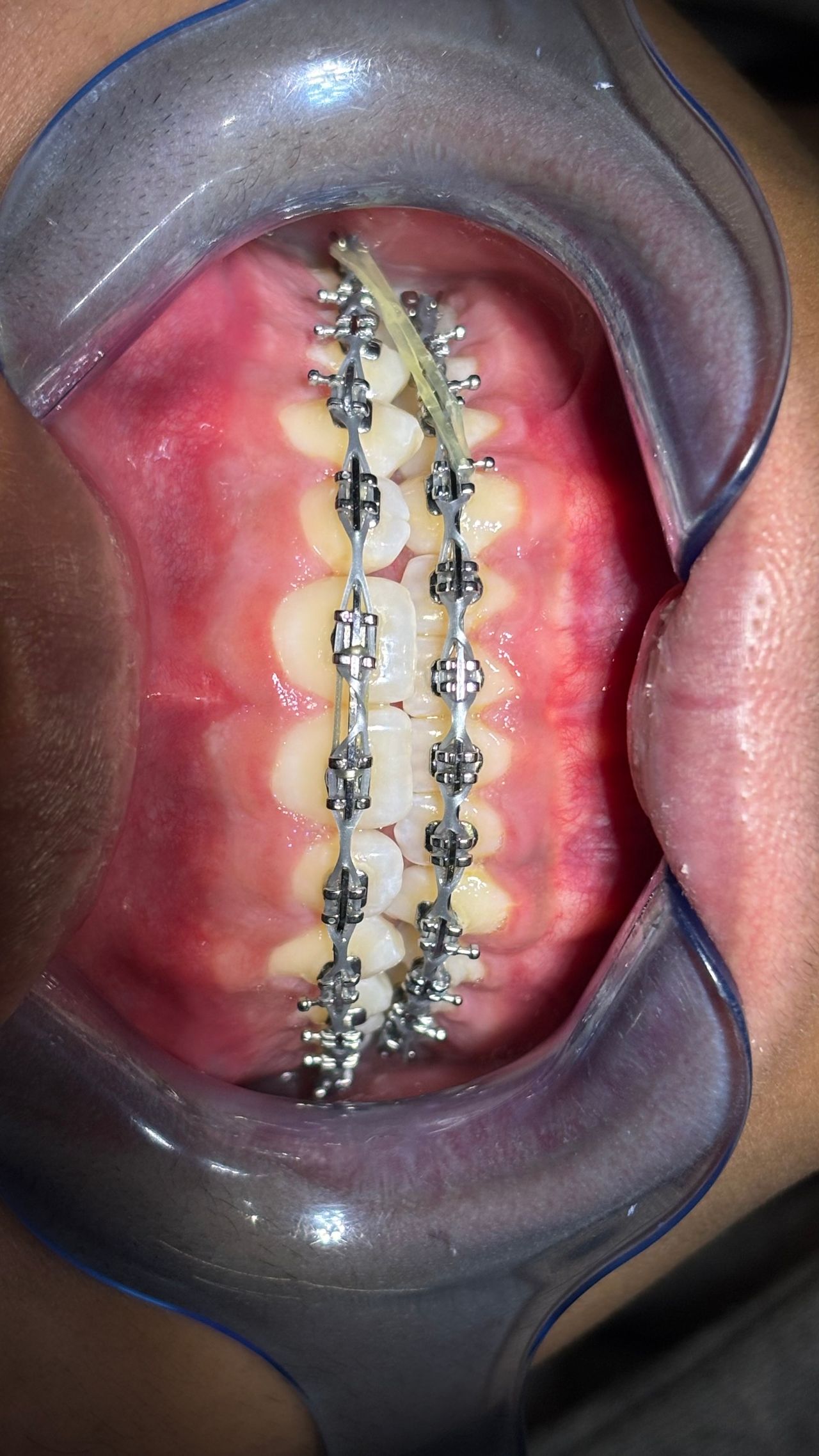 Priscila Berenice Gutiérrez Martínez-9