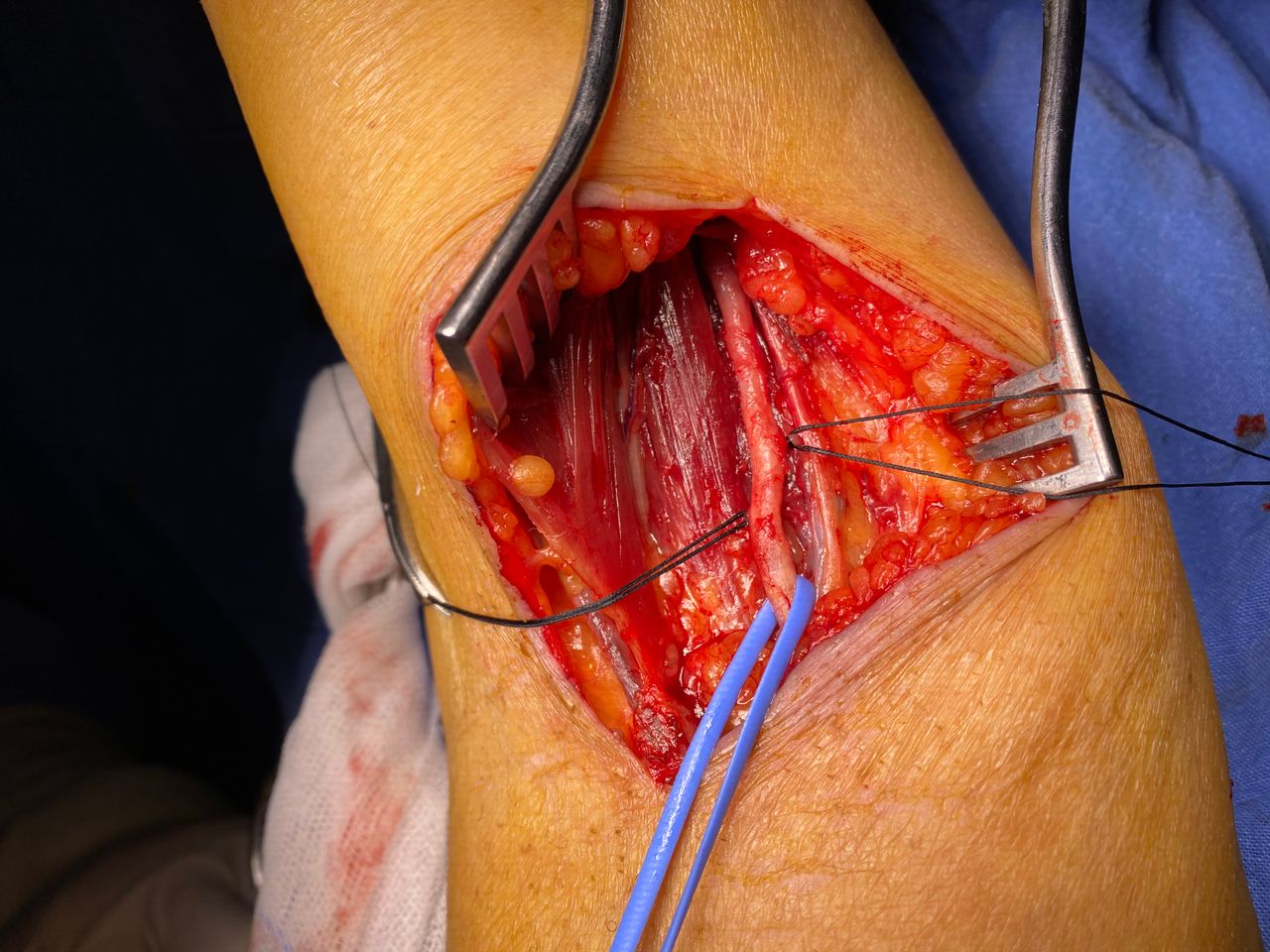 Daniela Oropeza Adame-25