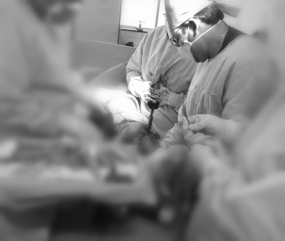 Daniel Romero Gamboa-11