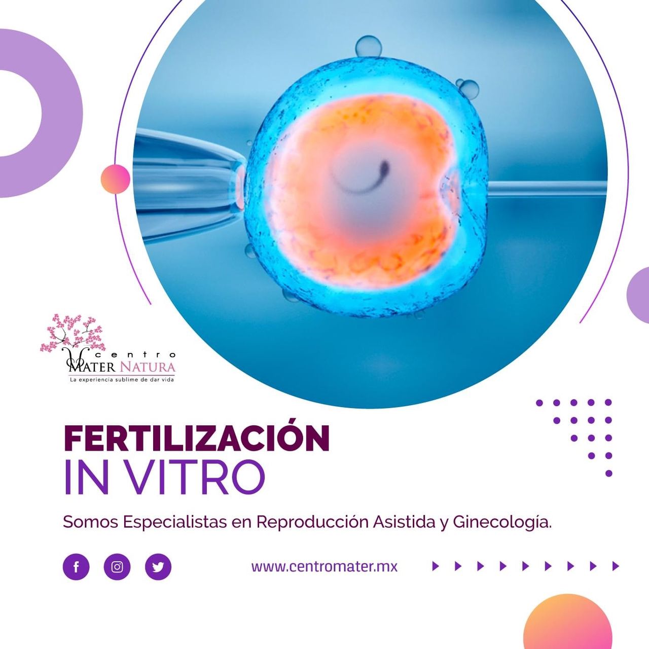 Alberto Arzate Rogel-6