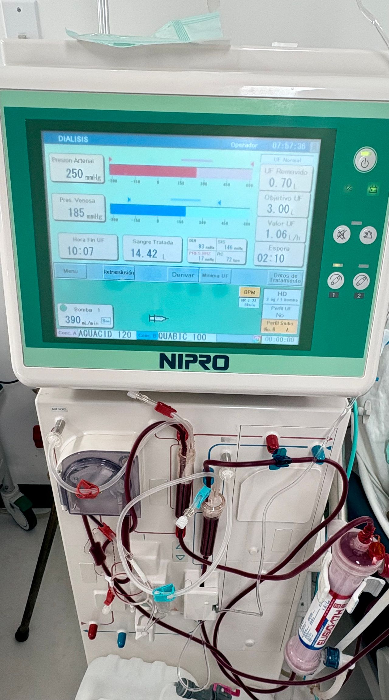 Paloma Alejandra Jara Ramos-5