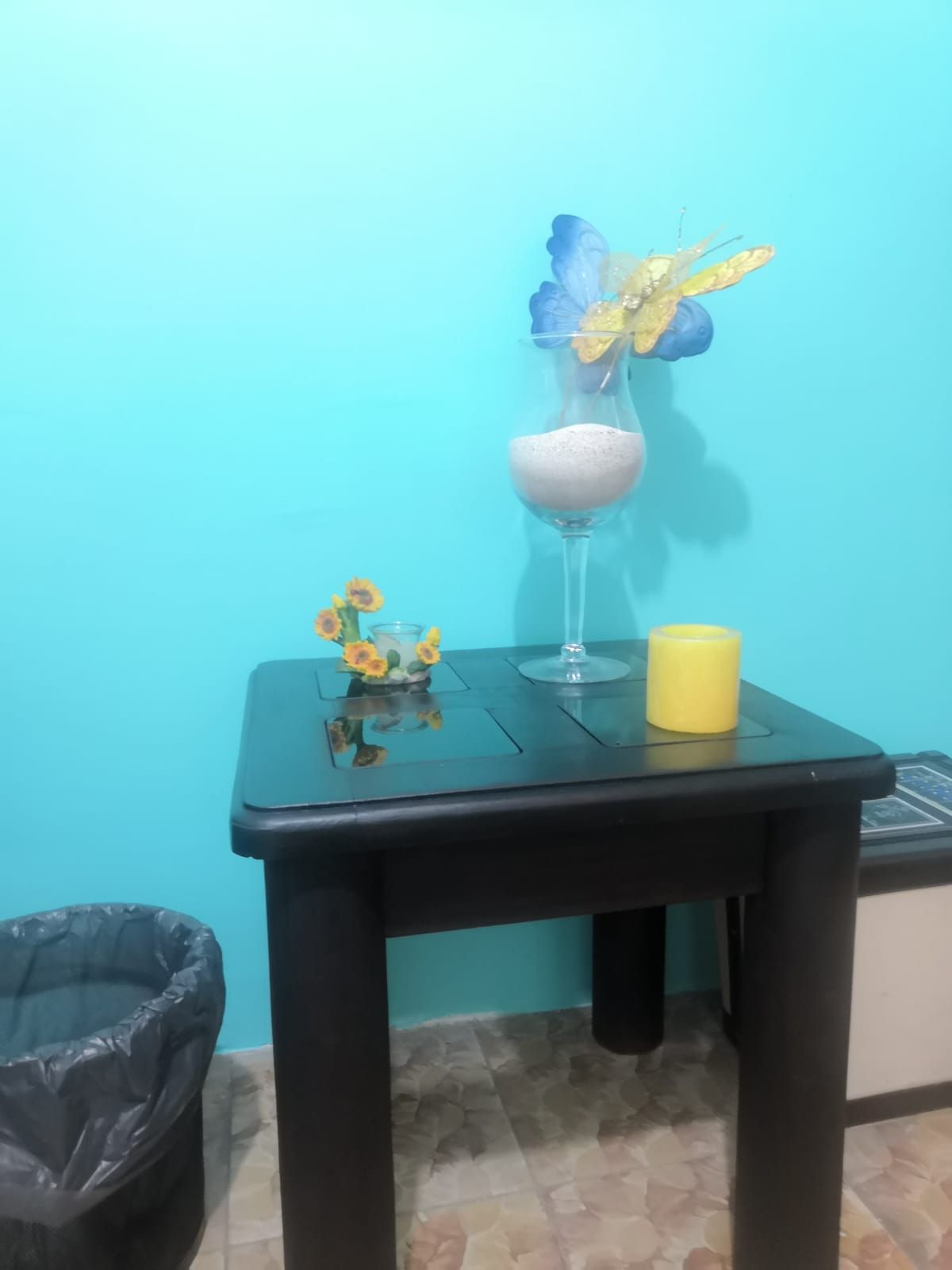 Maria Eugenia Yañez-7