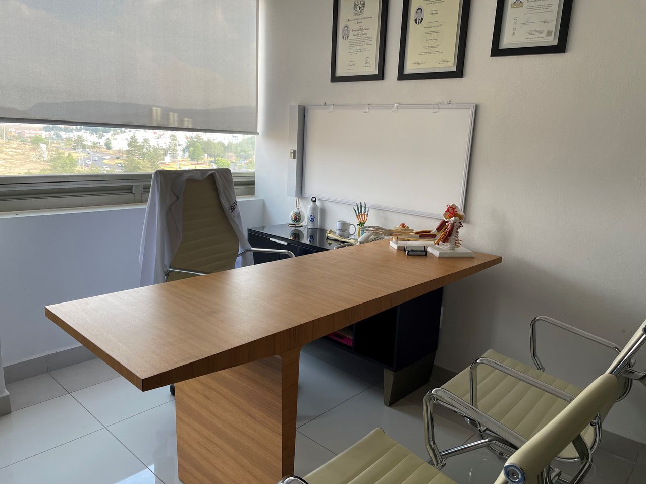 Irving Raúl Téllez Aceves-2