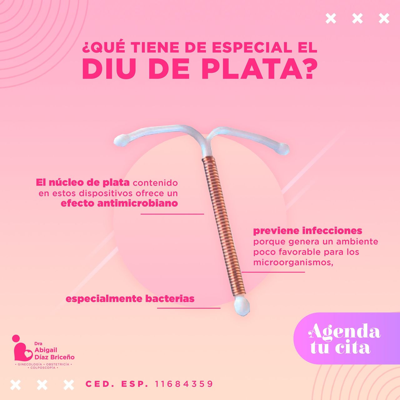 Abigail Diaz Briceño-4