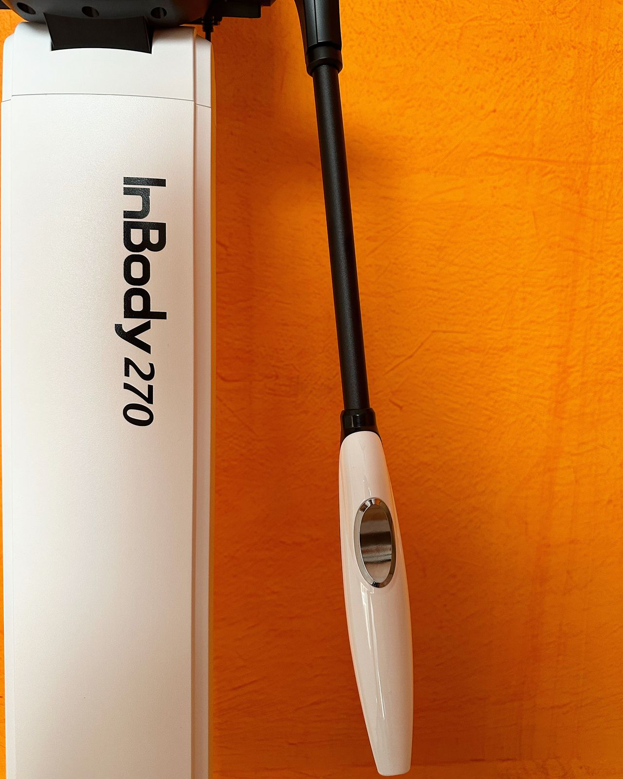 Ilsa Gabriela Nunez-0