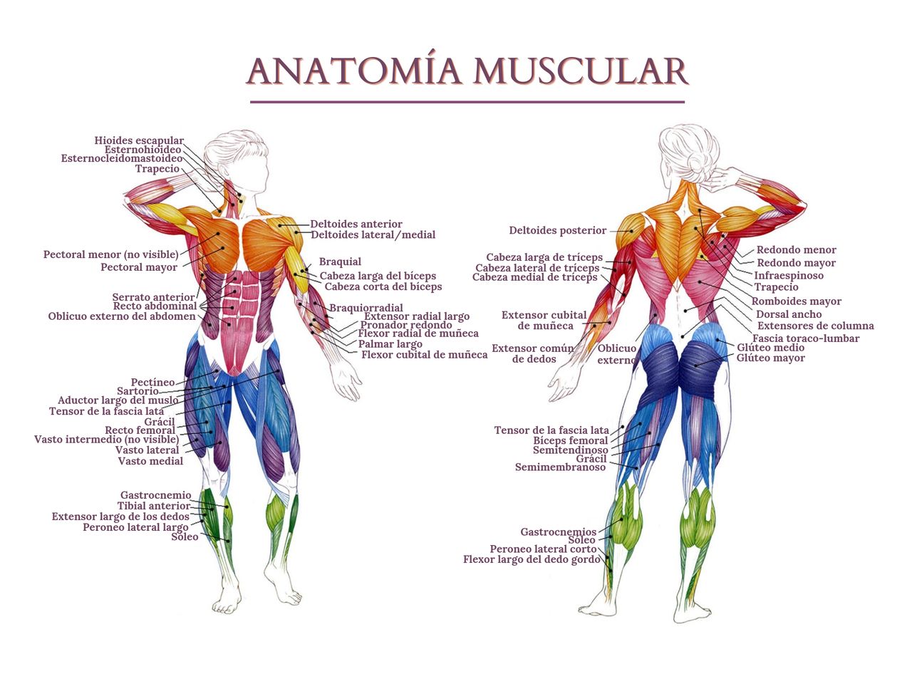 Gabriel González Arroyo-16