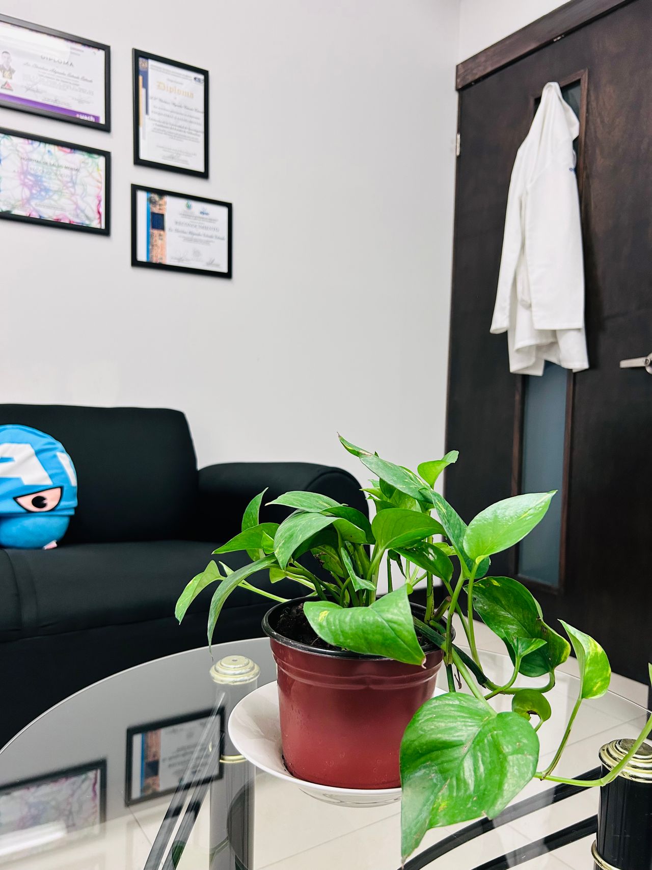 Christian Alejandro Estrada-7