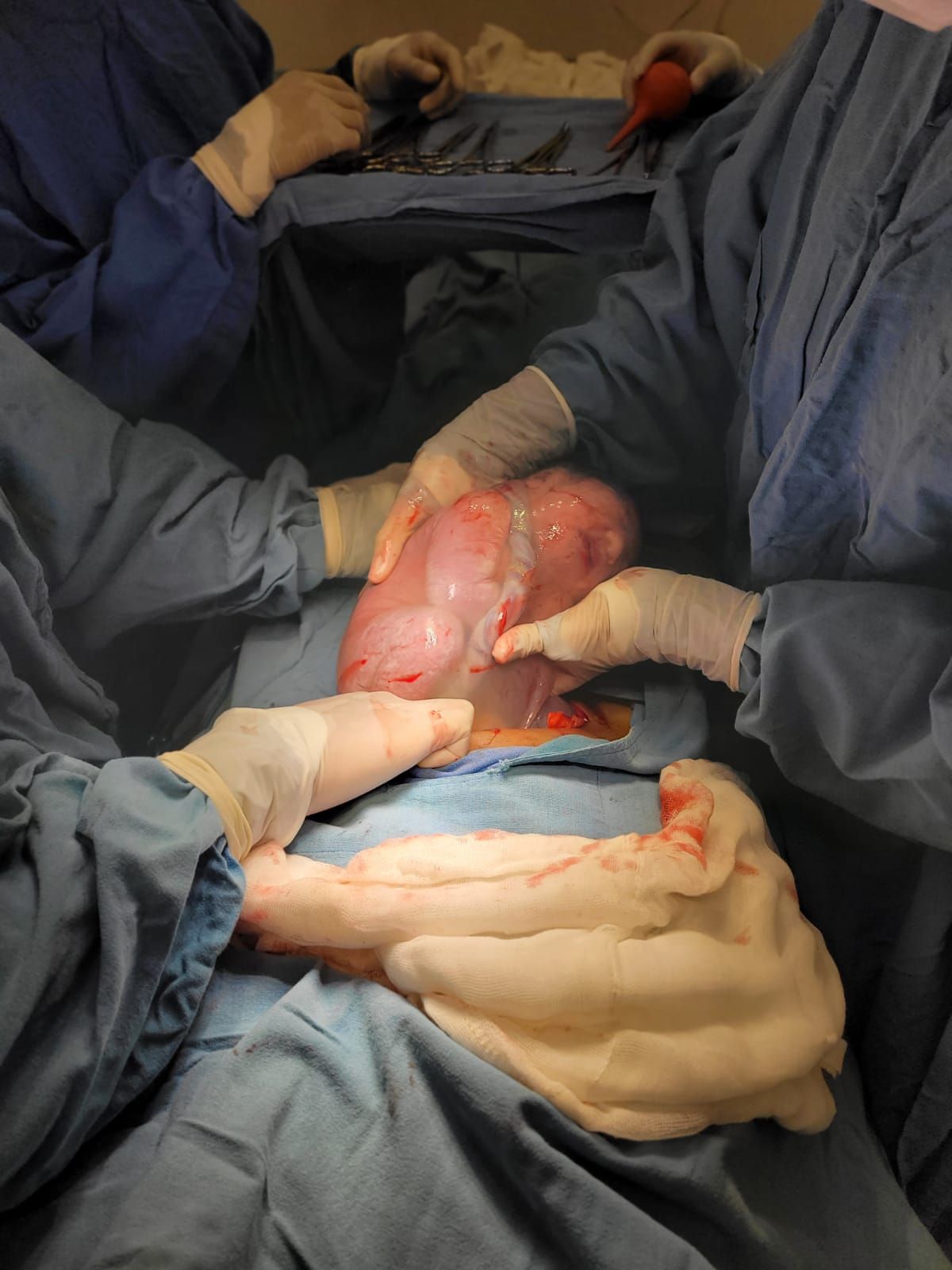 Gustavo Avalos Zecaida-0