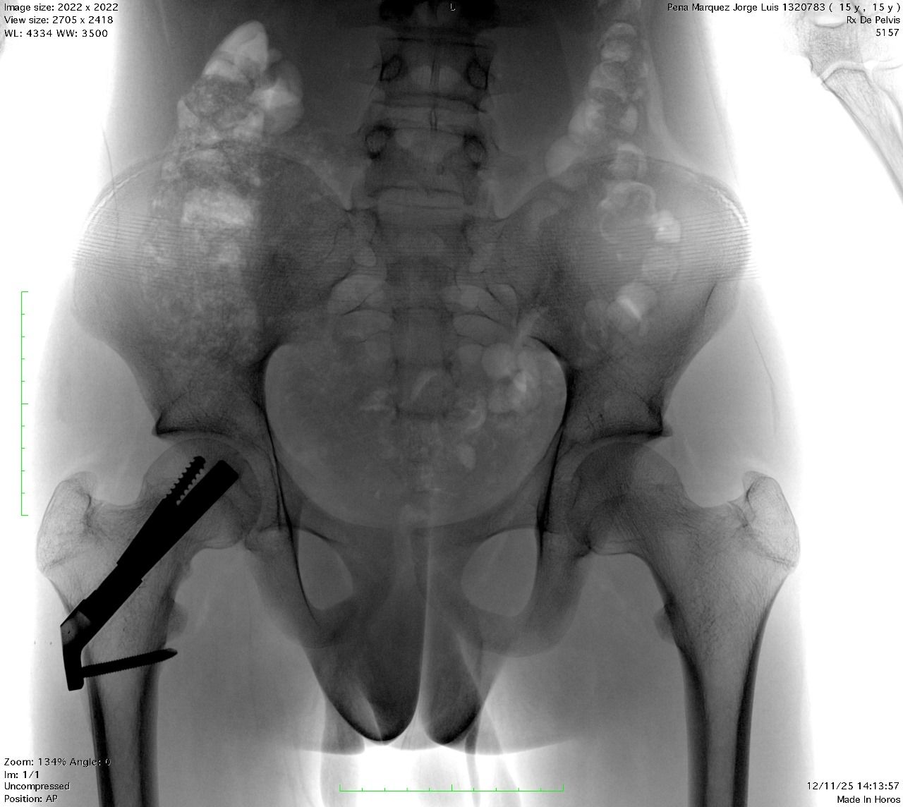 Gustavo Sarmiento Blanco-12