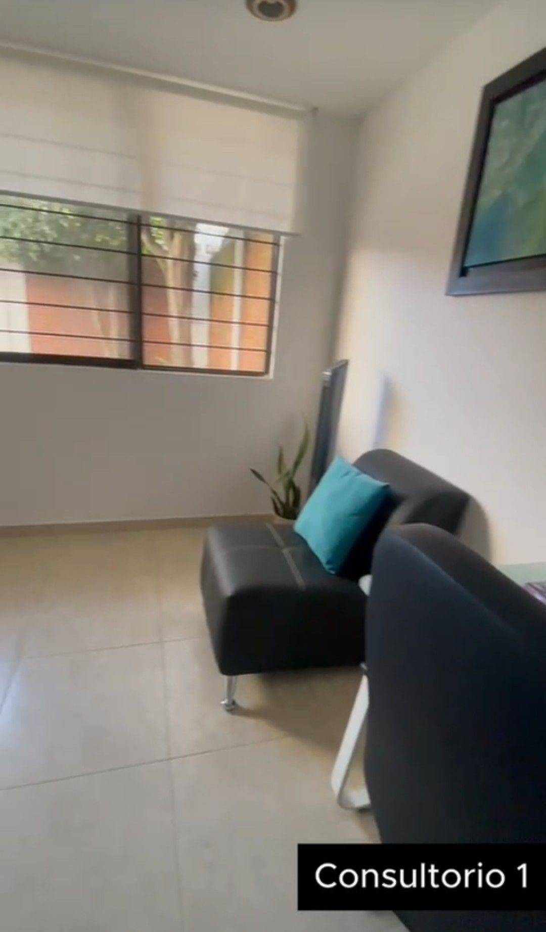 Araceli Vallejo Dominguez-1