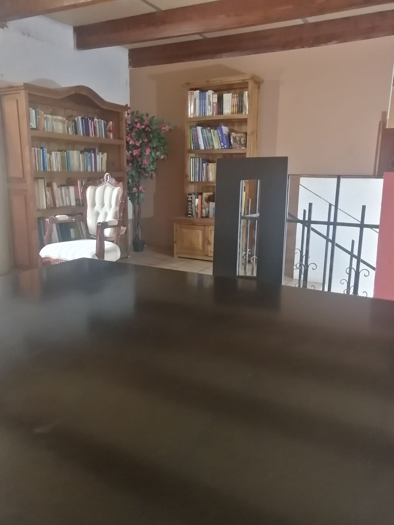 Laura Elena Gaither Jiménez-4