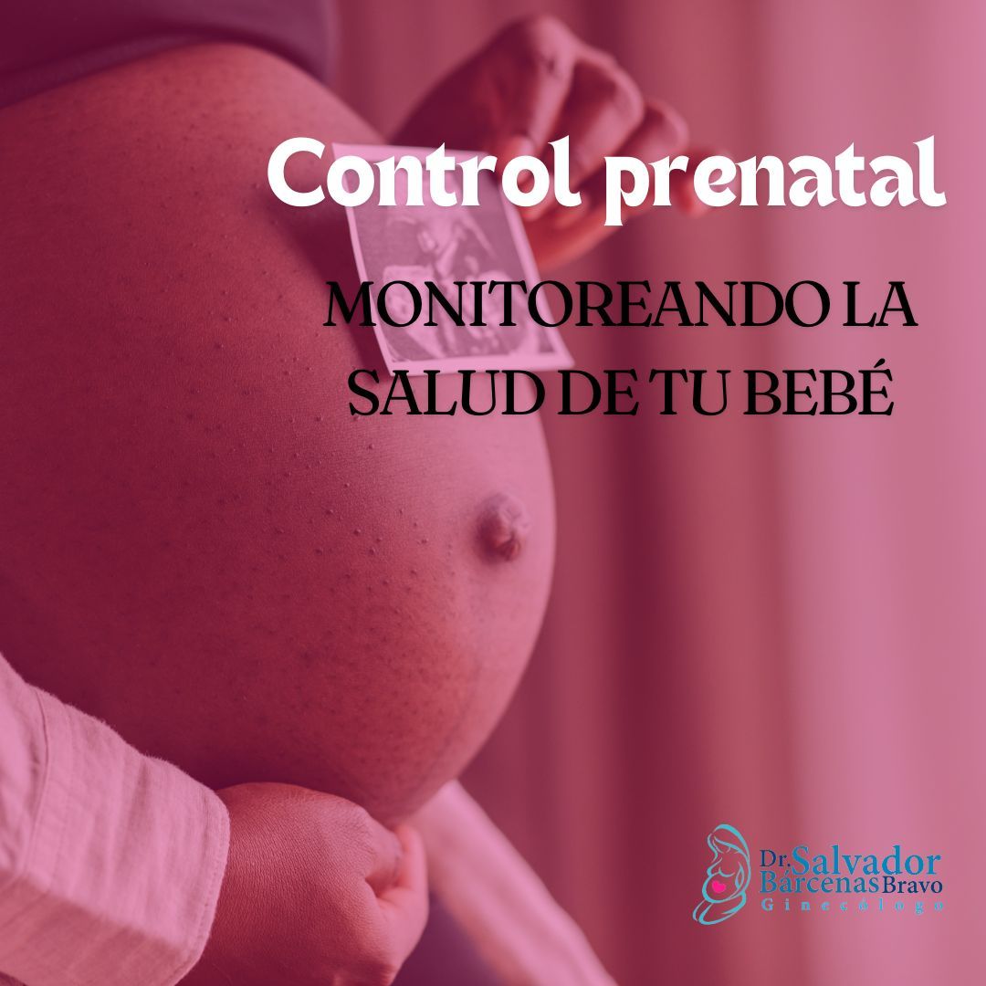 Salvador Barcenas Bravo-7