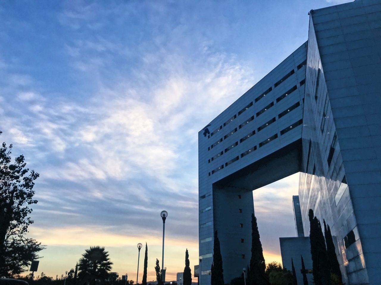 Carlos Damián Palafox Vidal-7