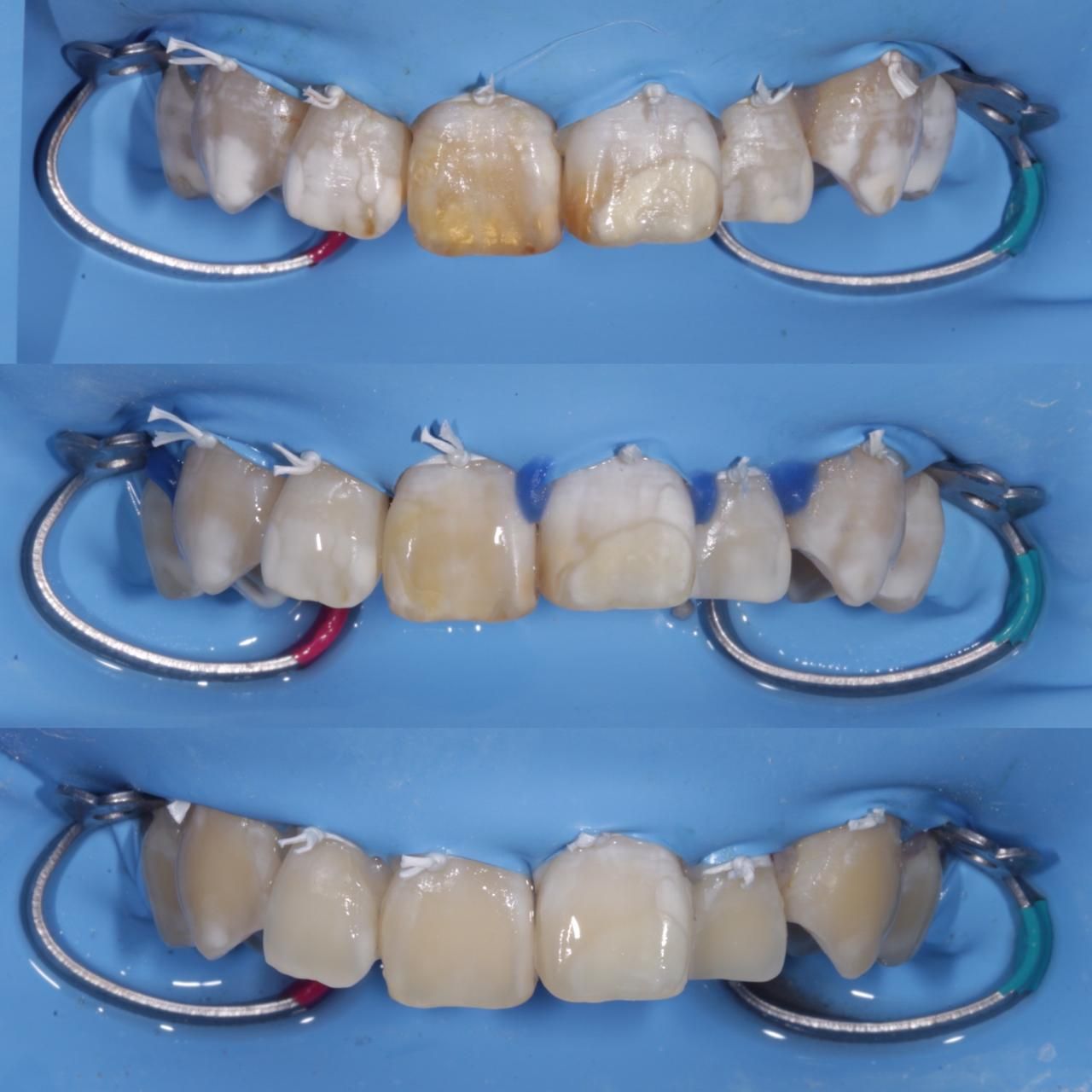 Mariana Herrera Martín Del Campo-13