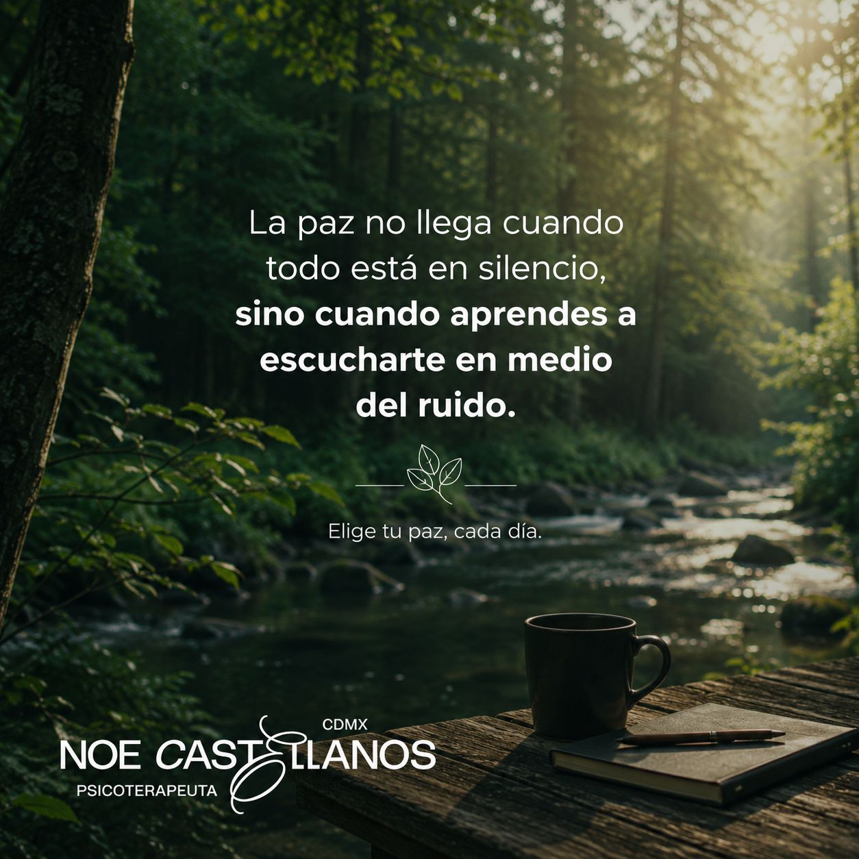 Noe Castellanos Luna-28