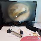 Sandra Luz Contreras De La Rosa-11