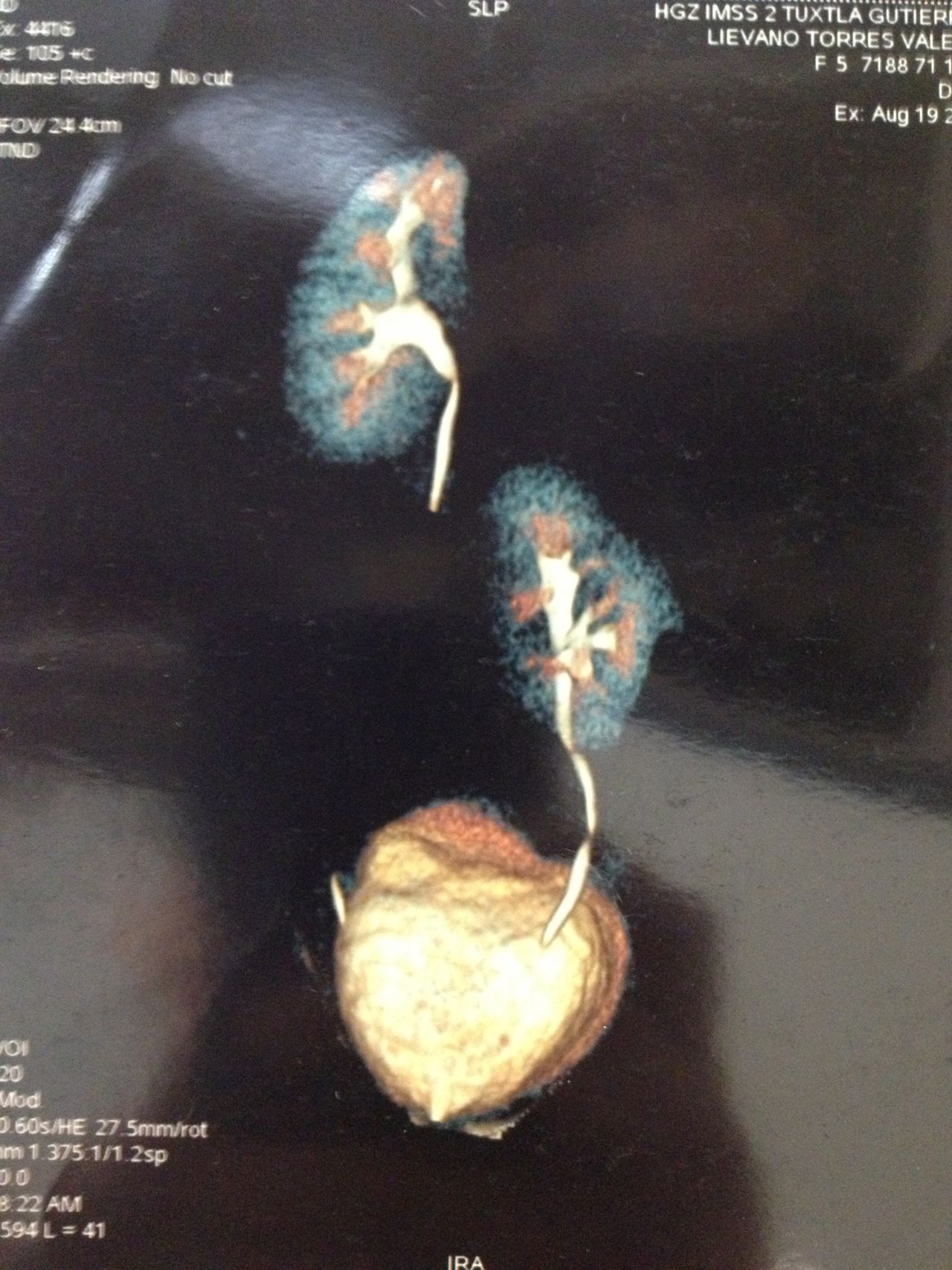 José Miguel Macedo Pérez-2