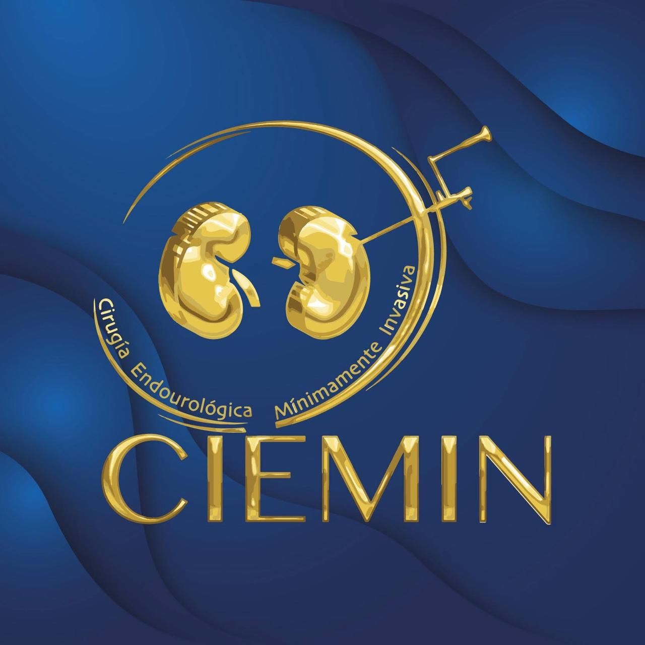 Francisco Emmanuel Navarrete Hernández-4