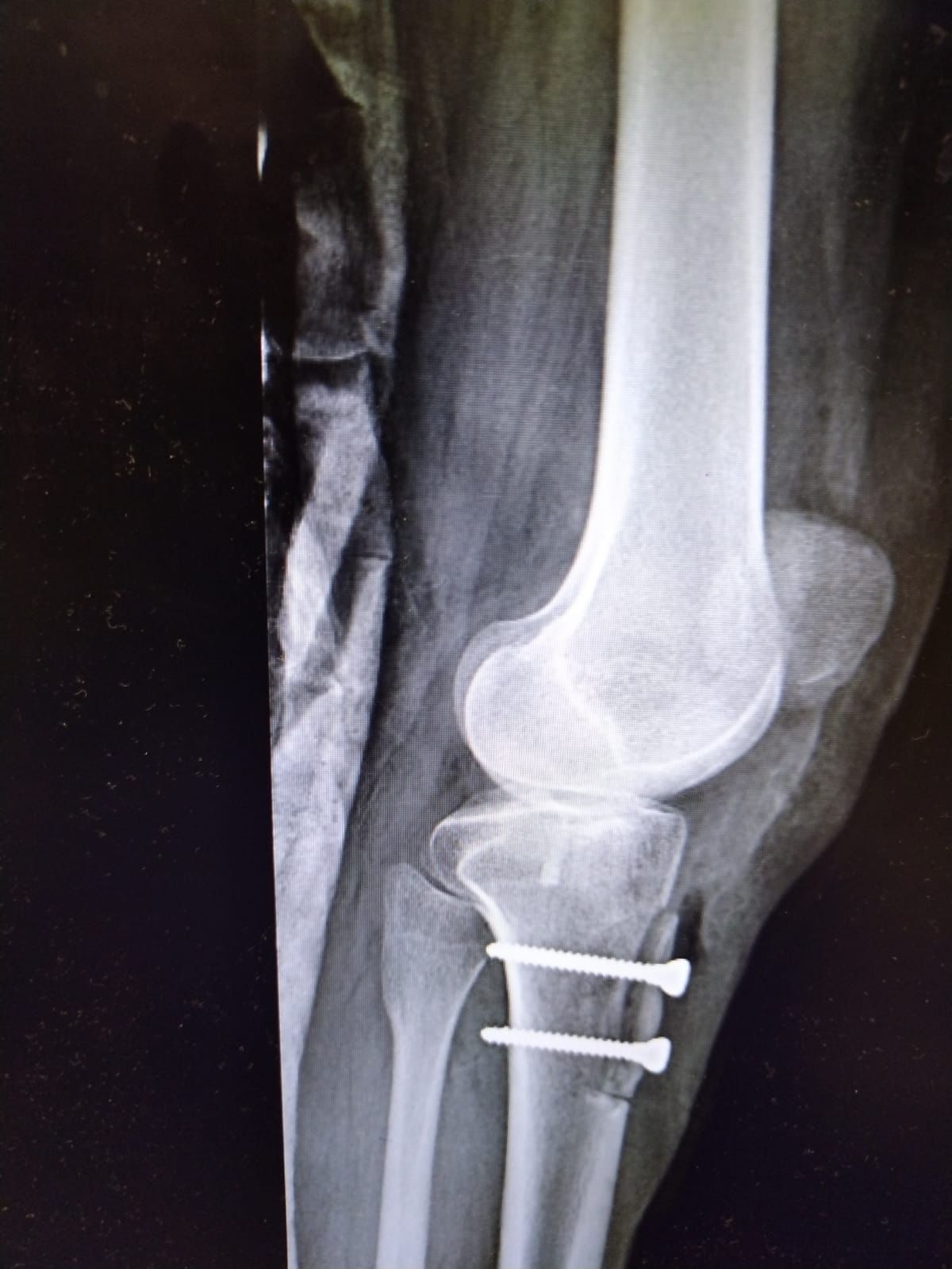 Carlos Horacio Sanchez Rodrigo-4