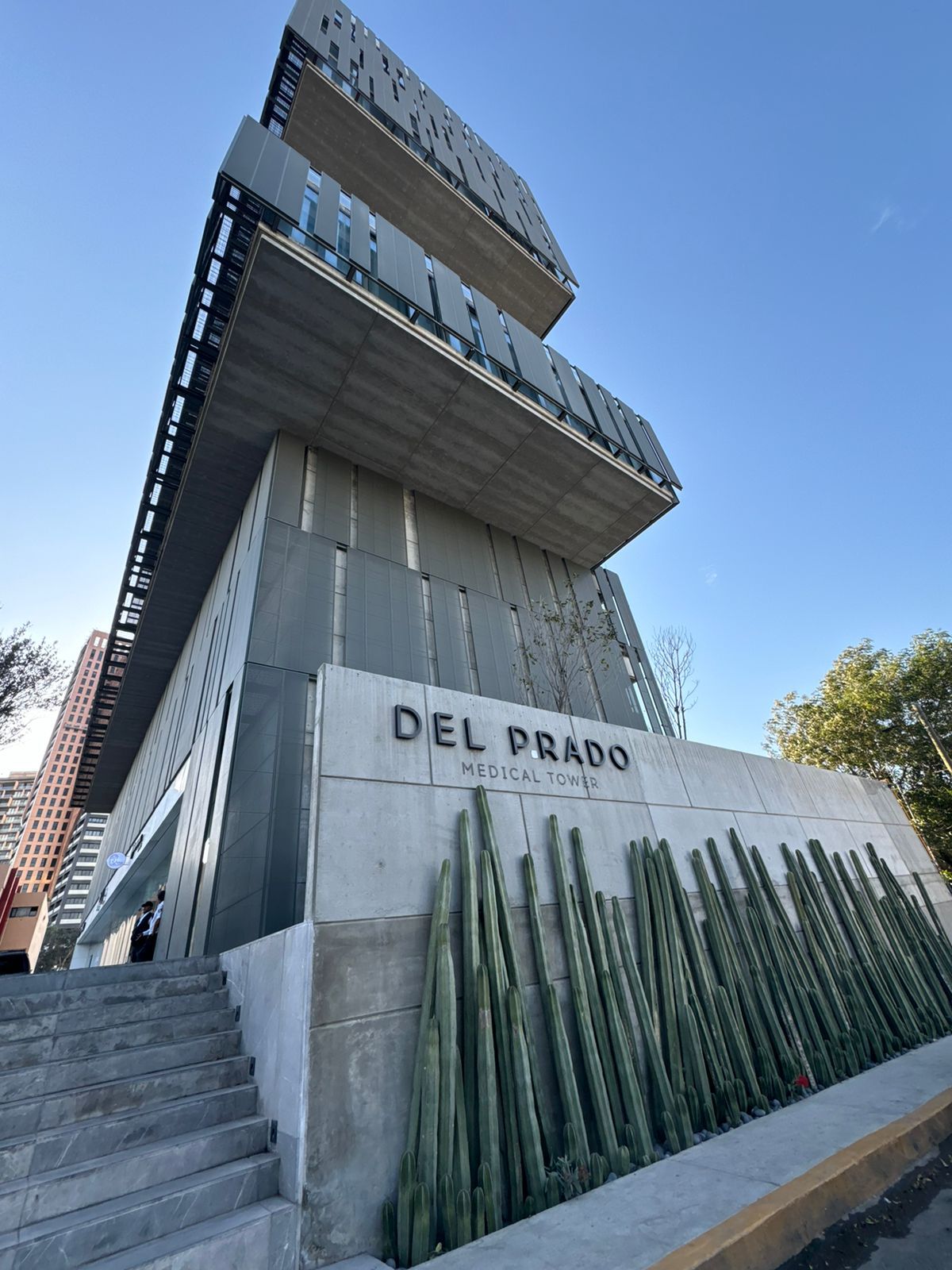 Carolina Meza Arrayales-0