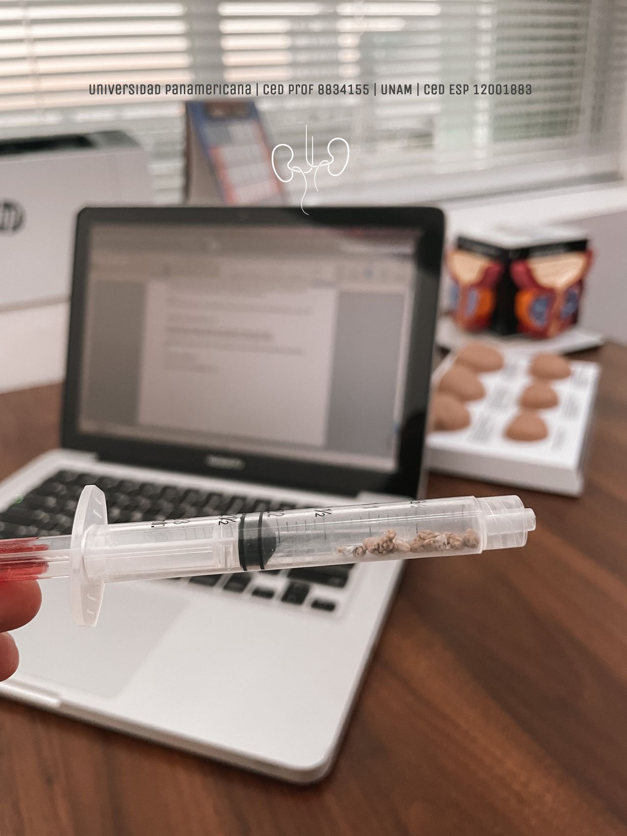 Jorge Esteban Magaña González-6