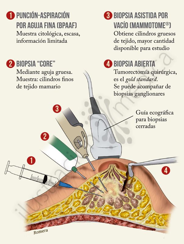 Laura Judith Quintanar Lugo-13